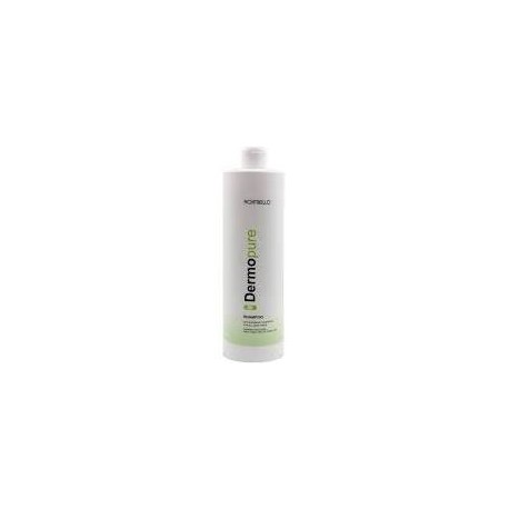 Champu anticaspa 1000 ML MONTIBEL.LO