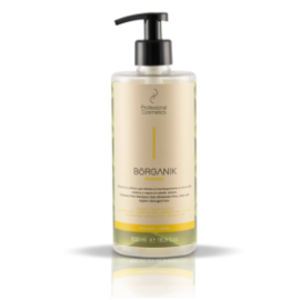 Champu Borganik Antifrizz 500 ml